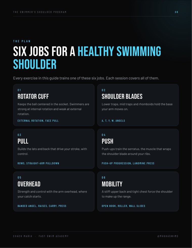 Page 6: the six jobs of a healthy swimming shoulder